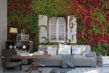 fototapeta fasáda domu s popínavými rastlinami